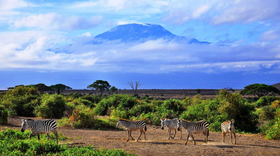 Tanzania