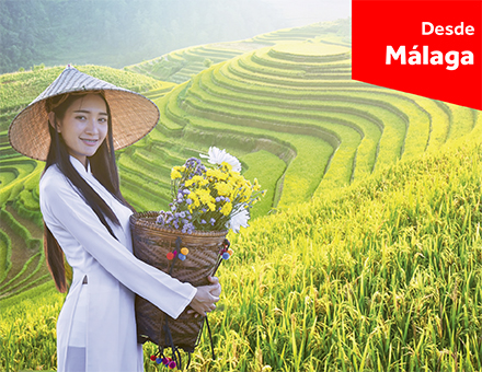 Vietnam Completo