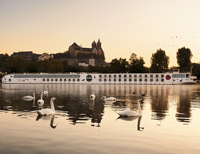 Gran crucero por el Rhin I - A-Rosa Aqua