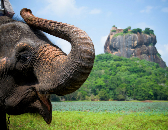 Lo Mejor de Sri Lanka 