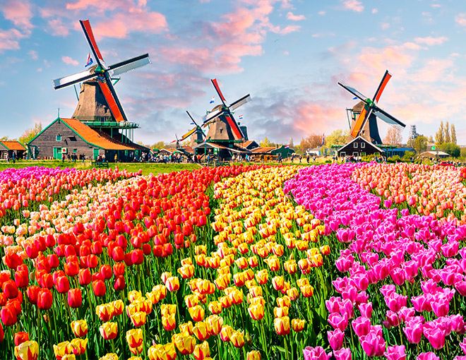 Ronda de los Países Bajos - Especial Primavera