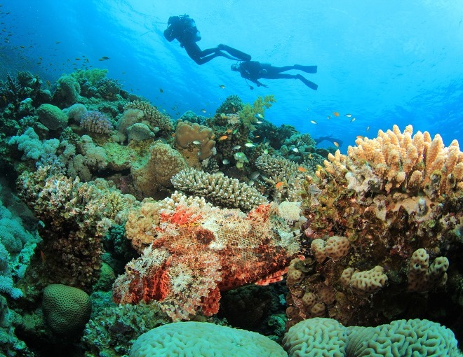 Maravillas de Jordania con Aqaba