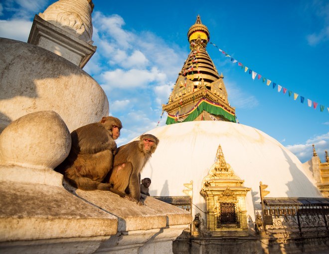 Colores de la India y Nepal