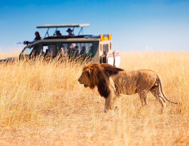 Gran Viaje a Sudáfrica