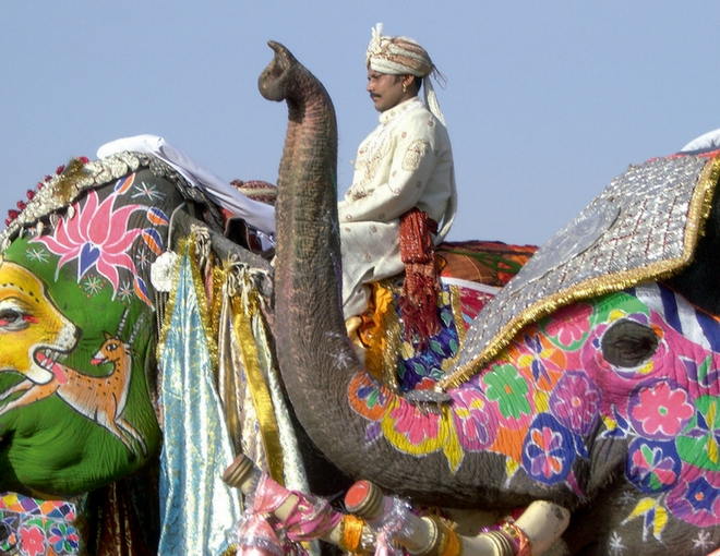Colores de la India