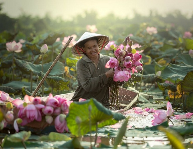 Encantos de Vietnam