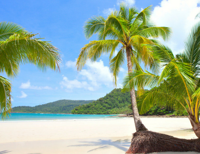 Lo mejor de Tailandia + Phuket