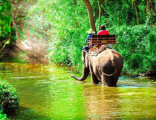 Lo mejor de Tailandia + Samui