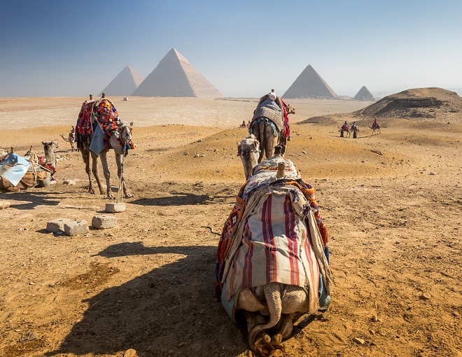 Egipto faraónico lunes Avance