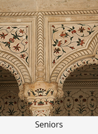 India: Triángulo de Oro + Safari